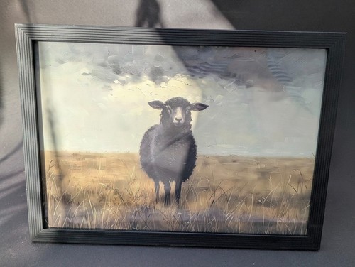 Schwarzes schaf bild - schaf, leinwand